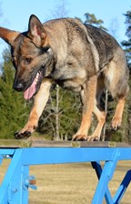 Ing-Marie Andersson (1)