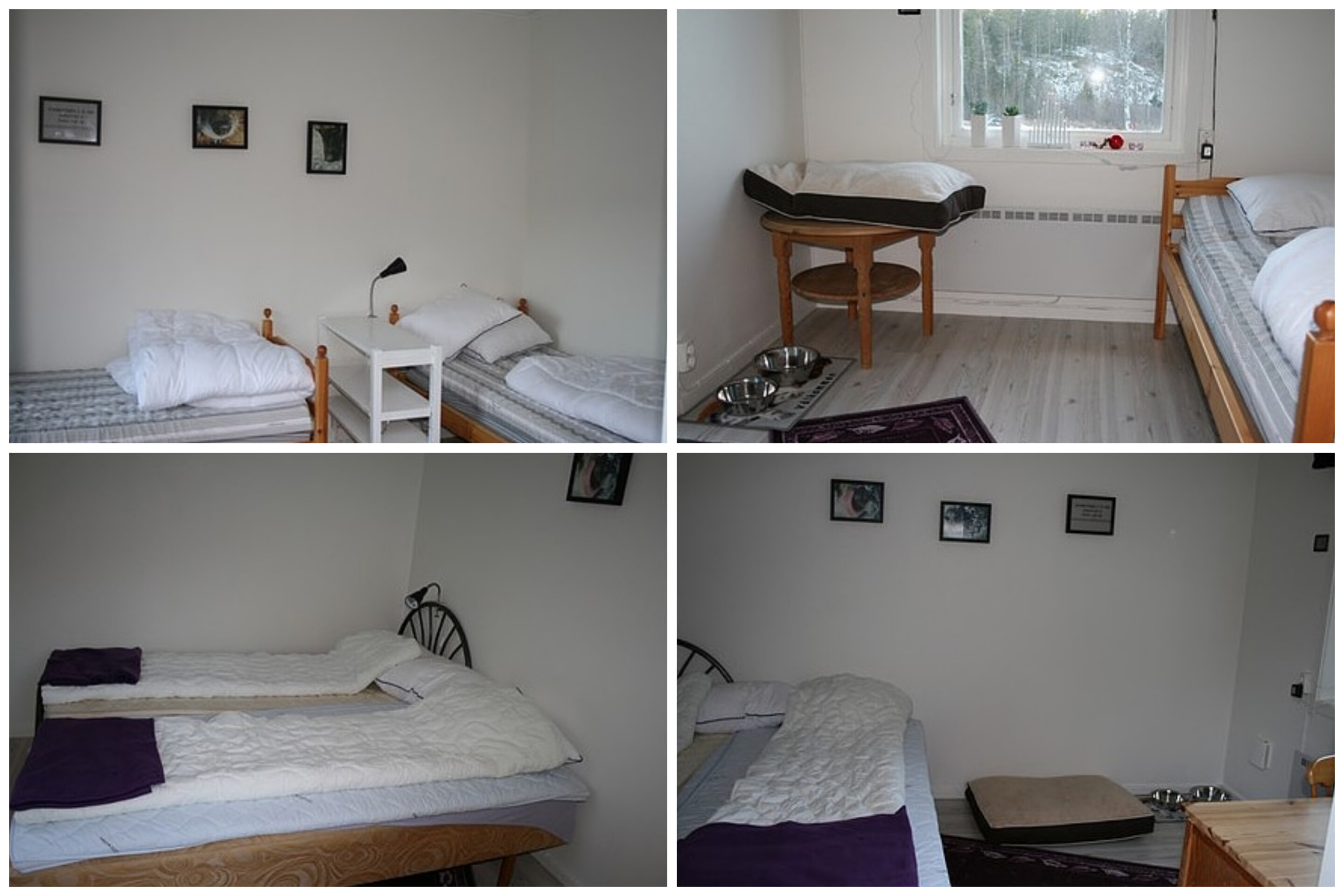 Bildkollage med fyra bilder från klubbens uthyrningsrum. Båda rummen har två sängar, ett litet bord, en hundbädd, två hundmatskålar och ett fönster.