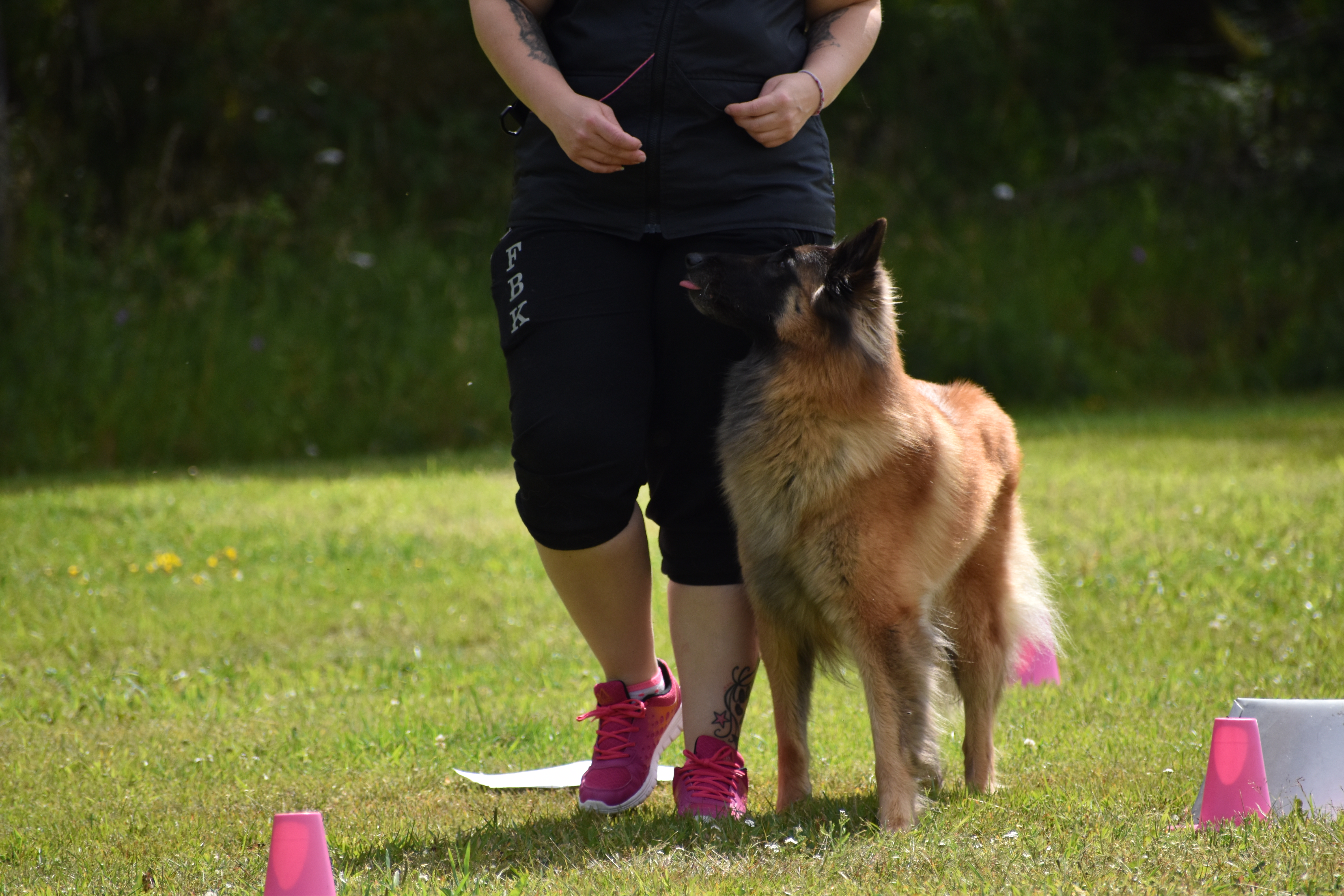 Tervueren kör rallylydnad