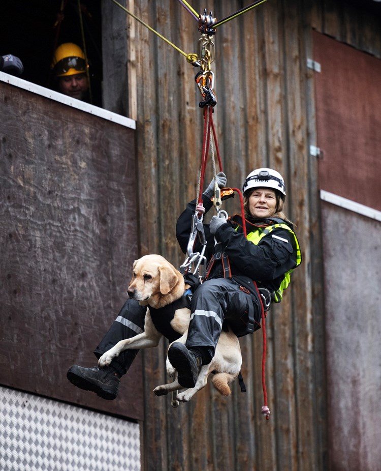 Foto: Nils Petter Nilsson