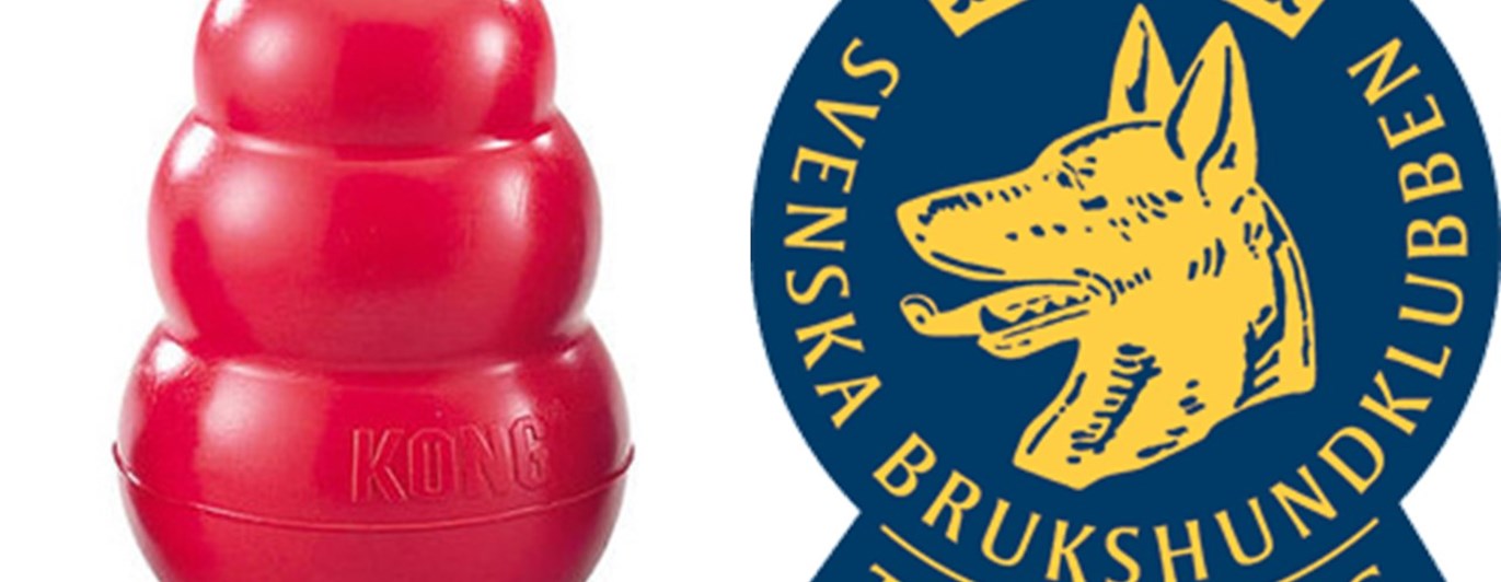 Specialsök med röd kong