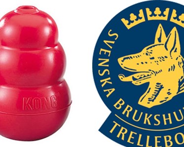 Specialsök med röd kong