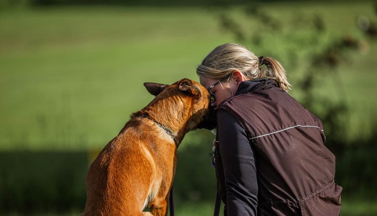Hund och människa
