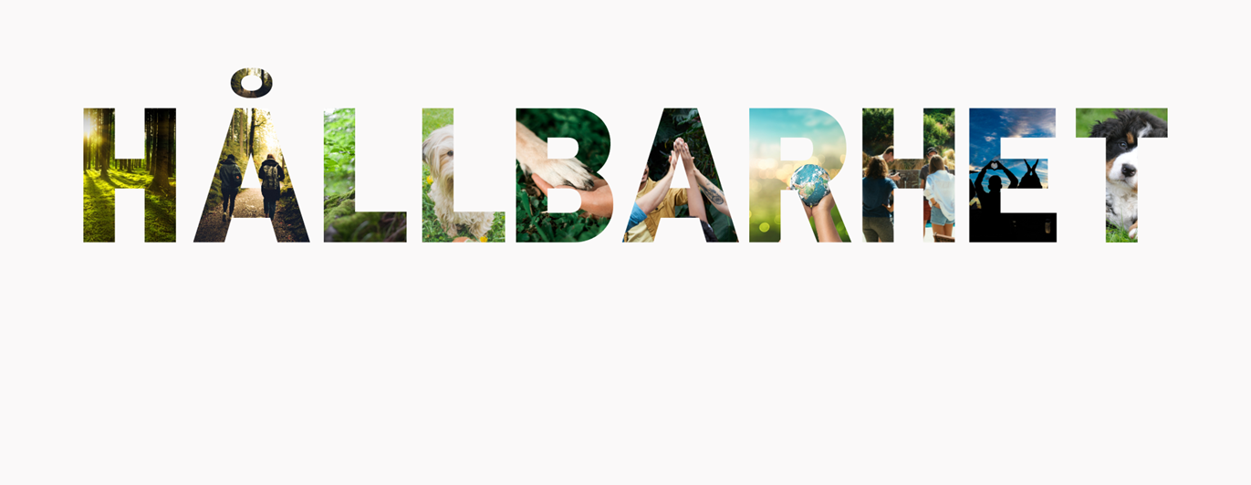 Hållbarhetens år 2022