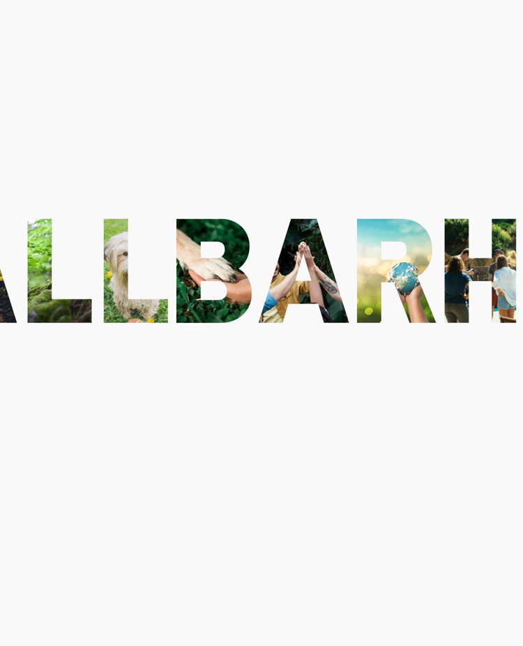 Hållbarhetens år 2022