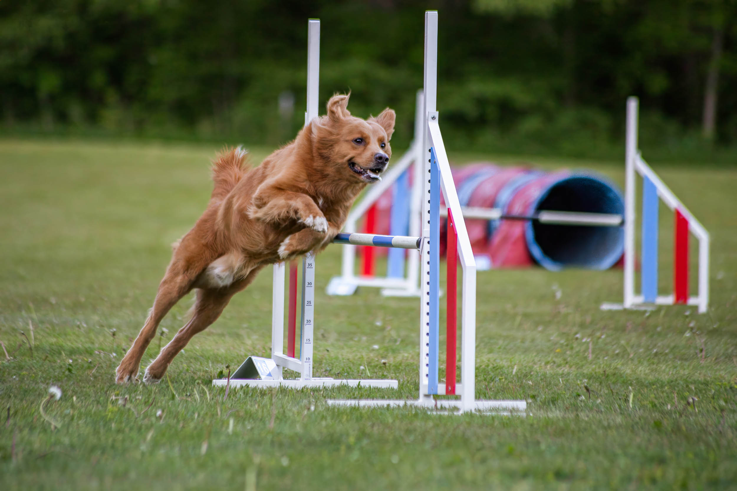 Agility