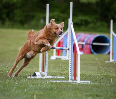 Agility