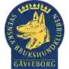 SBK Gävleborg logotyp