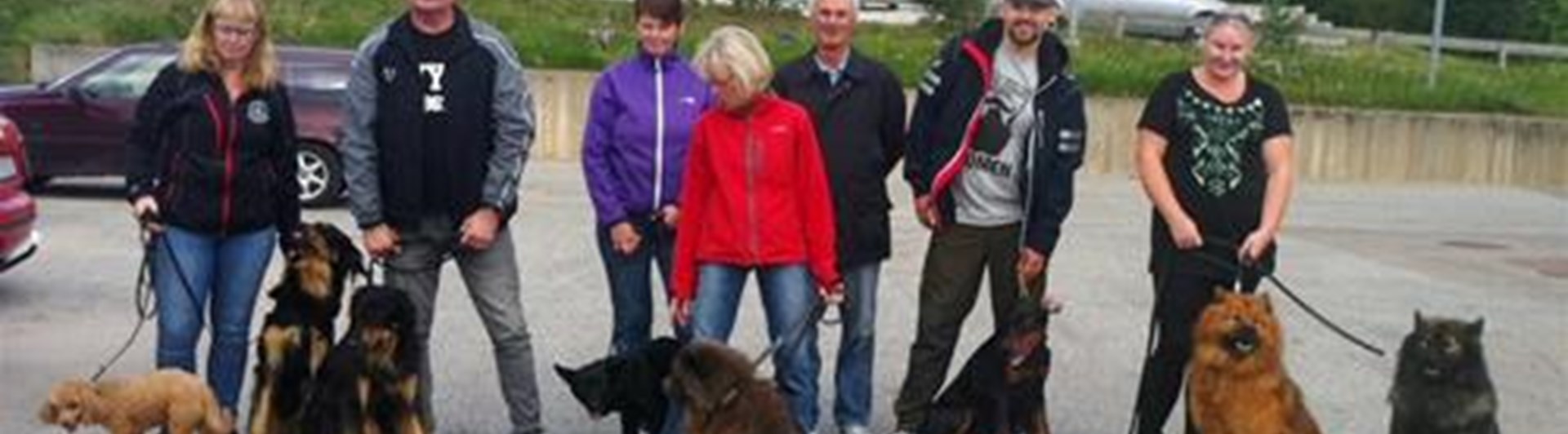 Bild på en hundpromenad