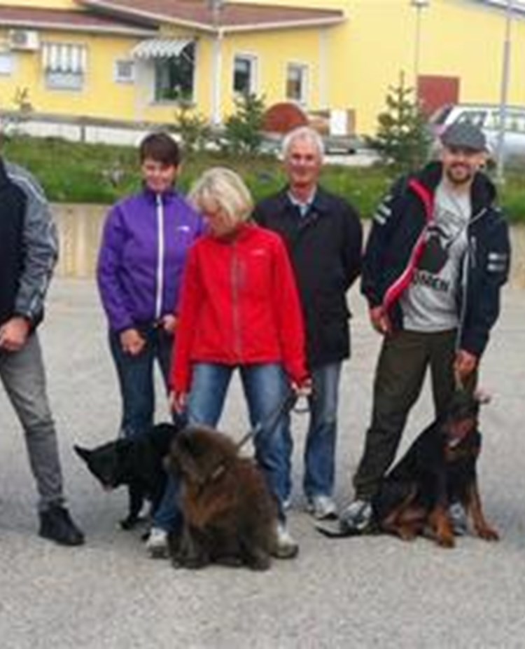 Bild på en hundpromenad