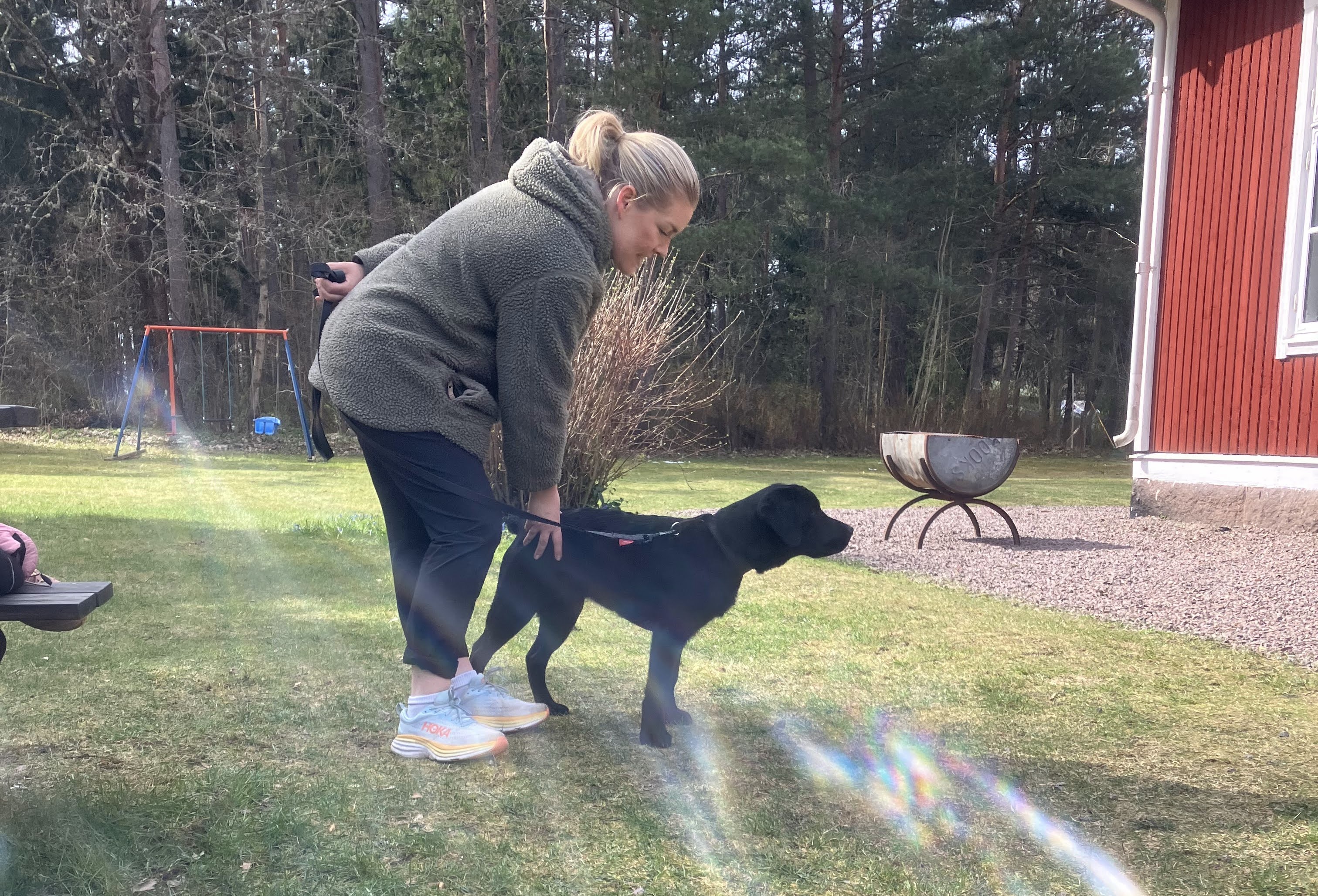 Unghund med matte