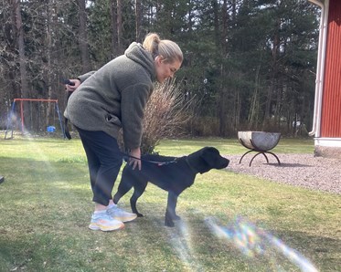Unghund med matte