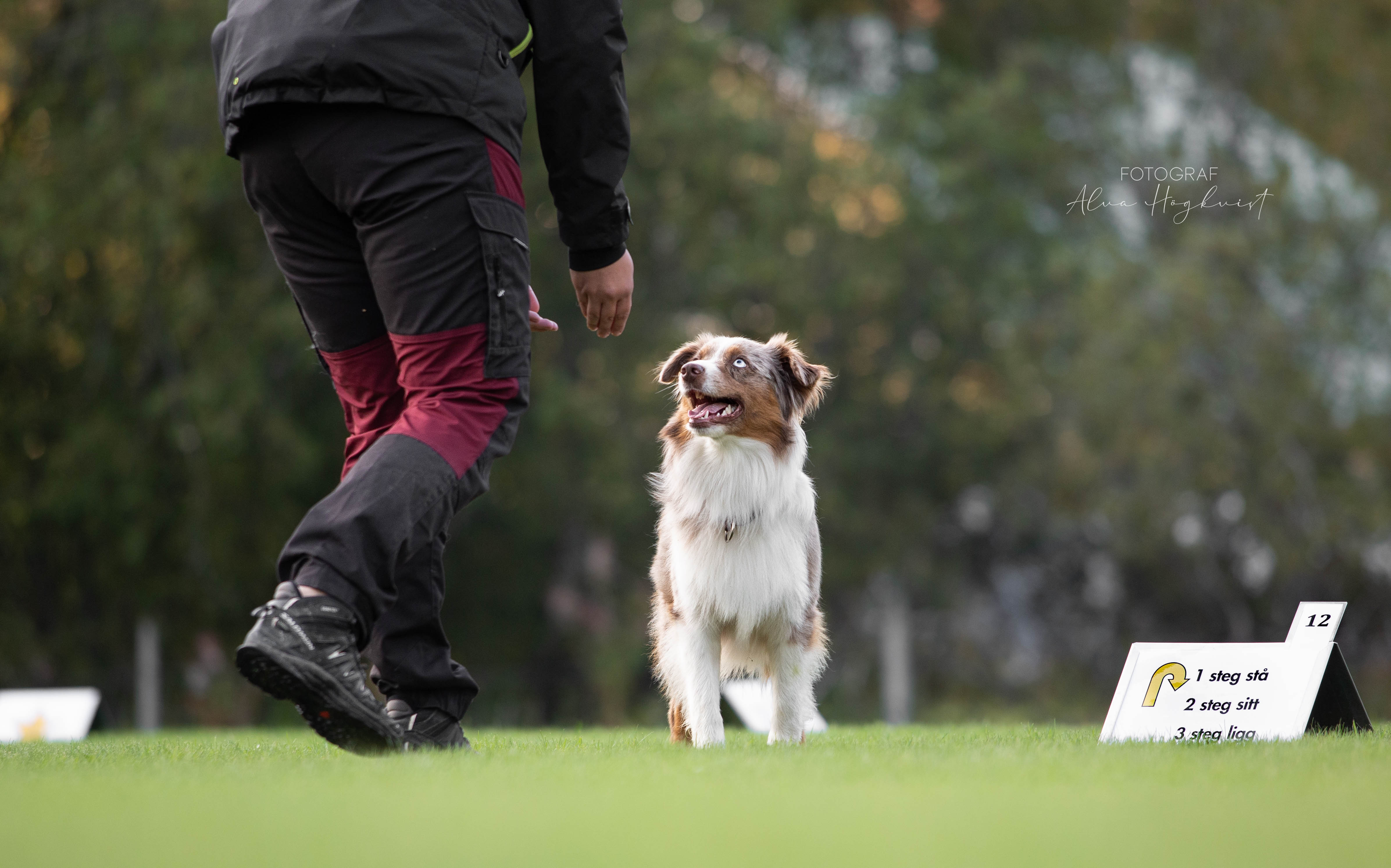 Arramis rally

Bild: Alva Högkvist