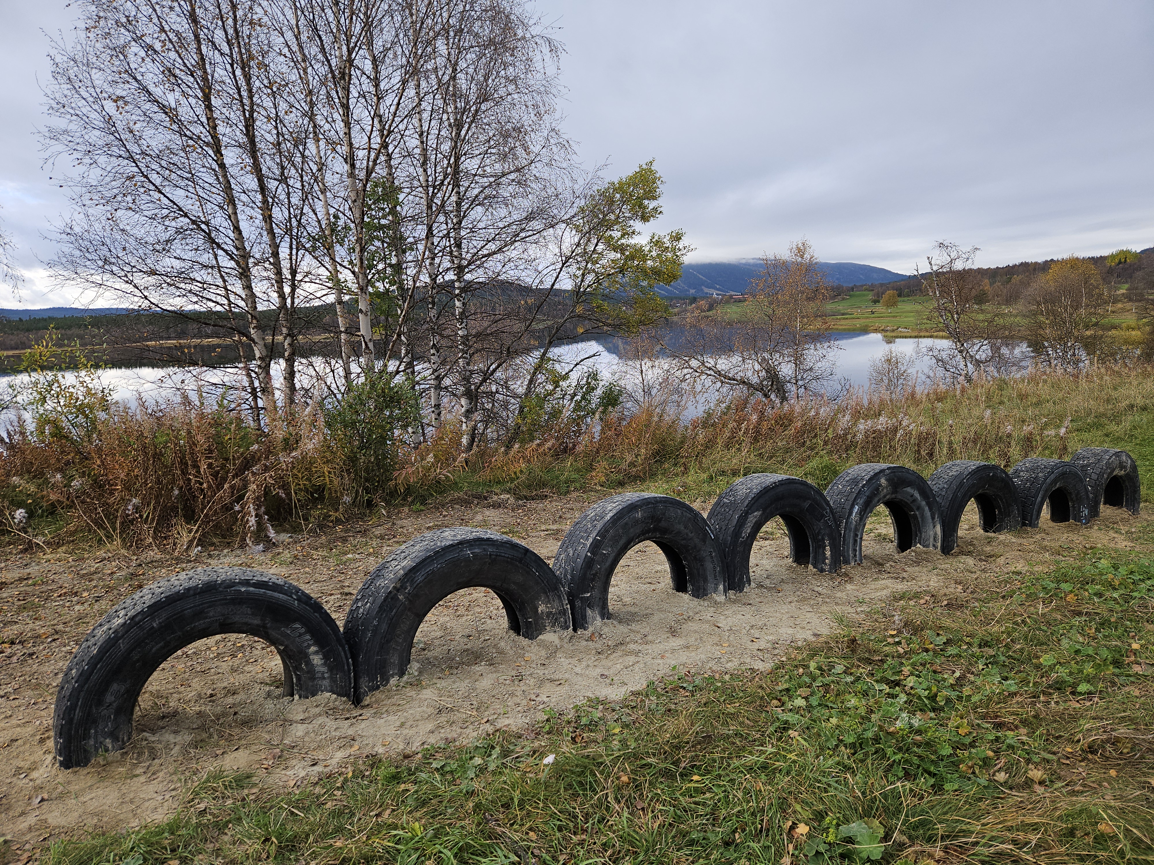 Stående däck - Hundholmens aktivitetsbana