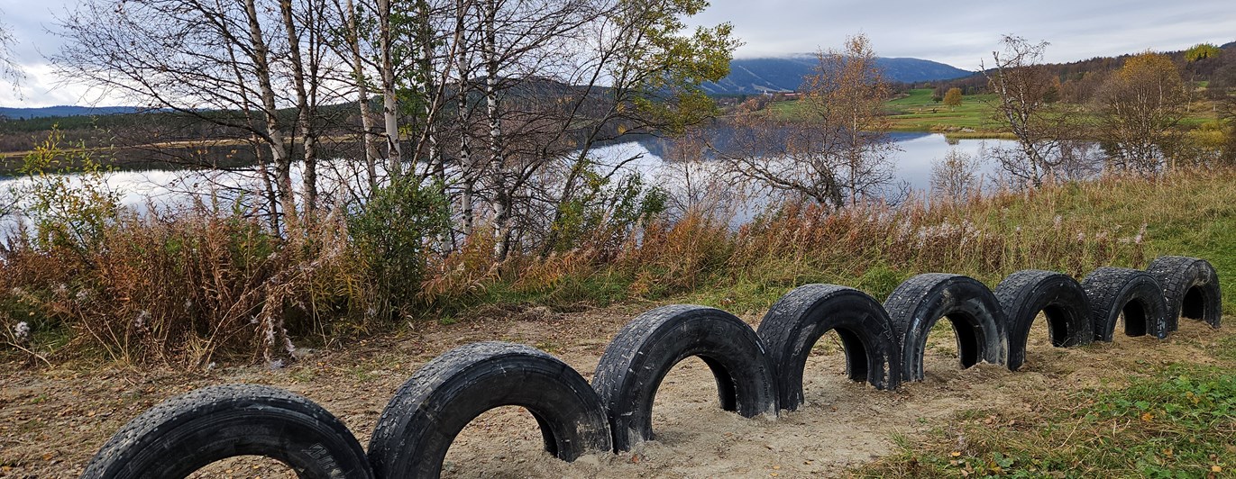 Stående däck - Hundholmens aktivitetsbana
