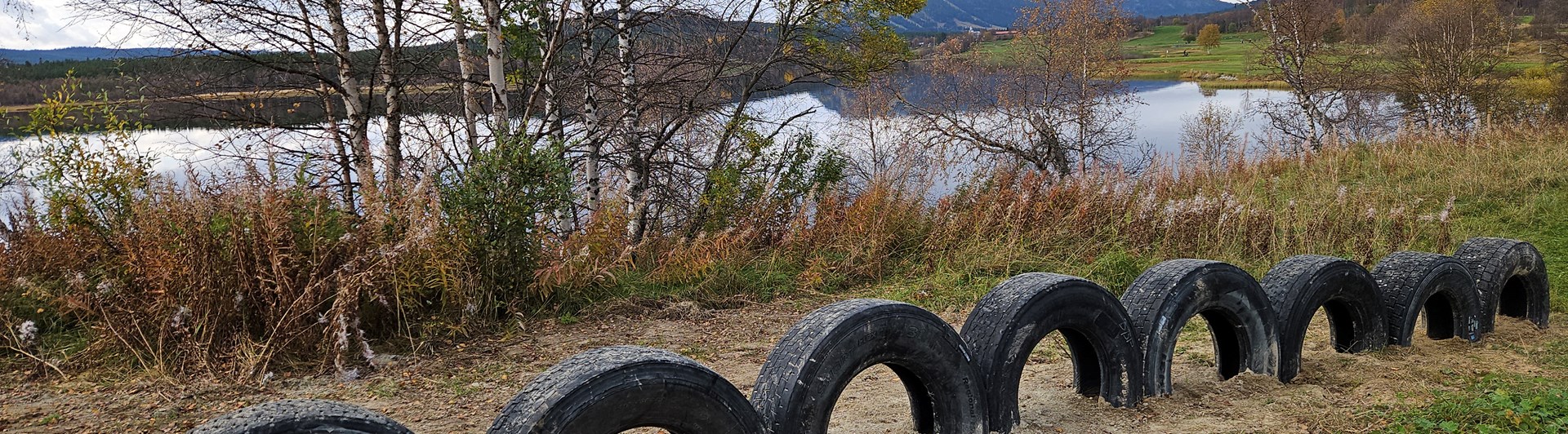Stående däck - Hundholmens aktivitetsbana