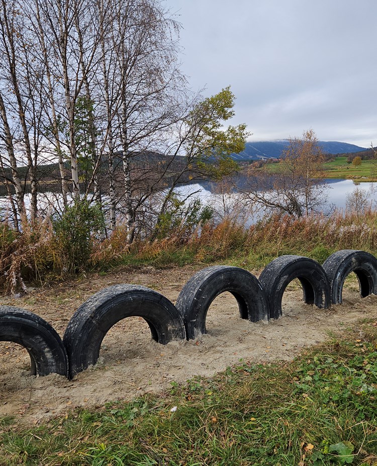 Stående däck - Hundholmens aktivitetsbana