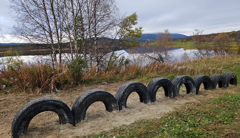 Stående däck - Hundholmens aktivitetsbana