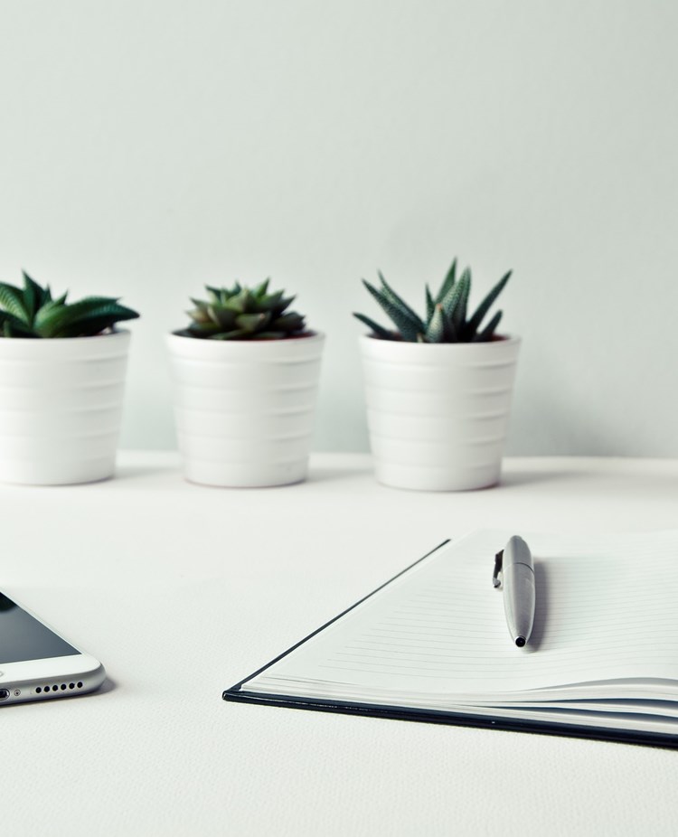 Bild som visar ett skrivbord med ett anteckningsbok, penna, mobil och tre blomkrukor.