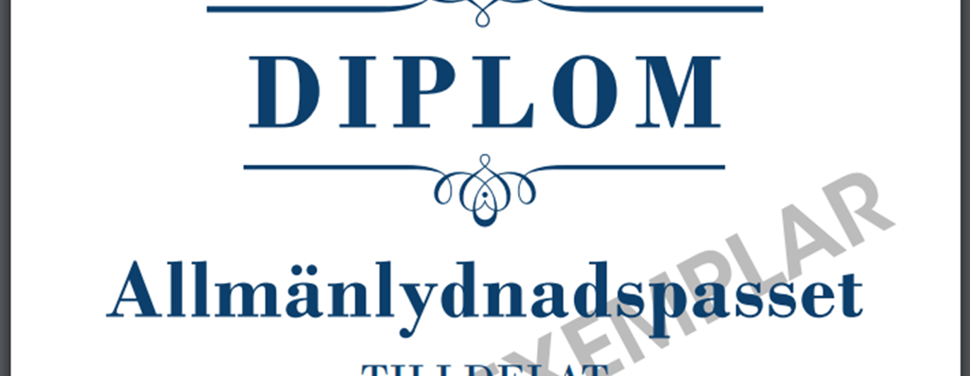 Framsida av allmänlydnadspasset