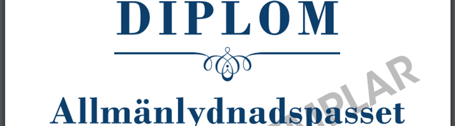 Framsida av allmänlydnadspasset