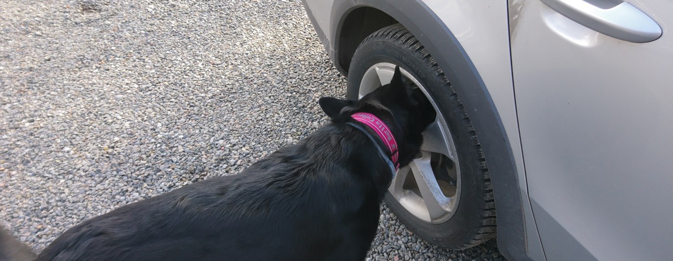 Byling markerar på däck på bil