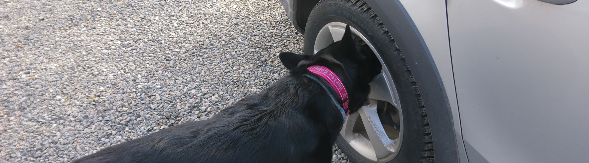Byling markerar på däck på bil