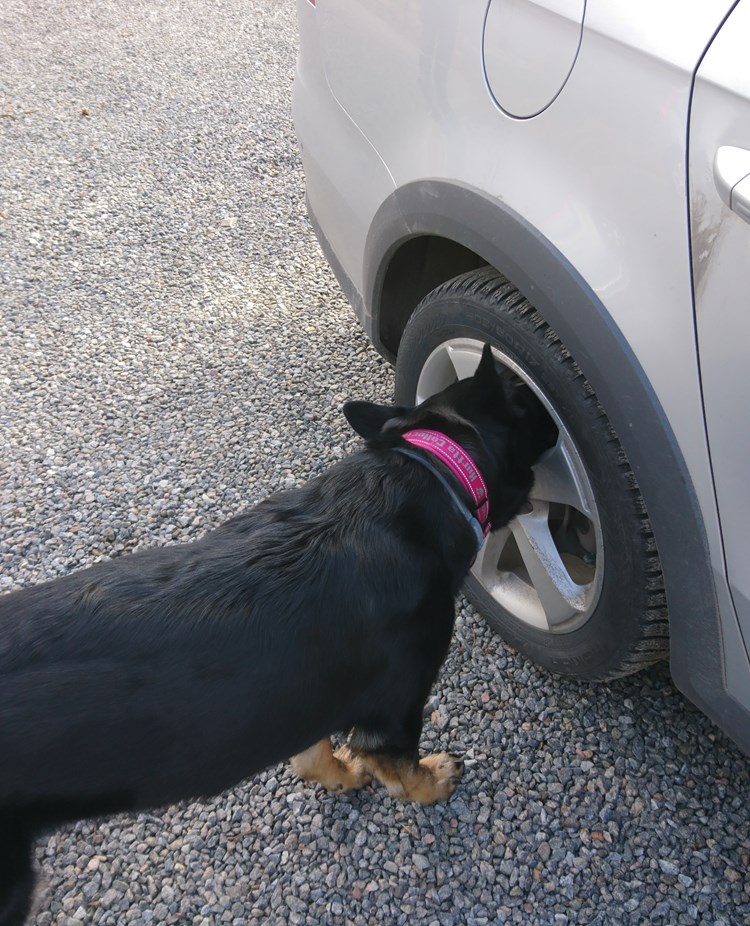 Byling markerar på däck på bil