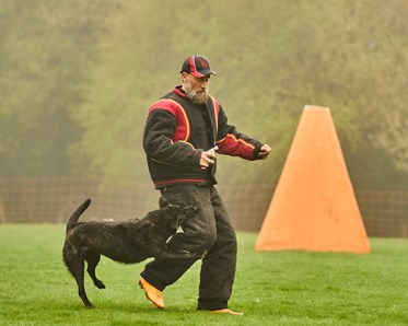 Mondioring mer benbett