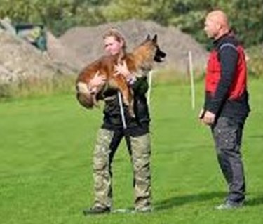 IPO-R föraren bär hund