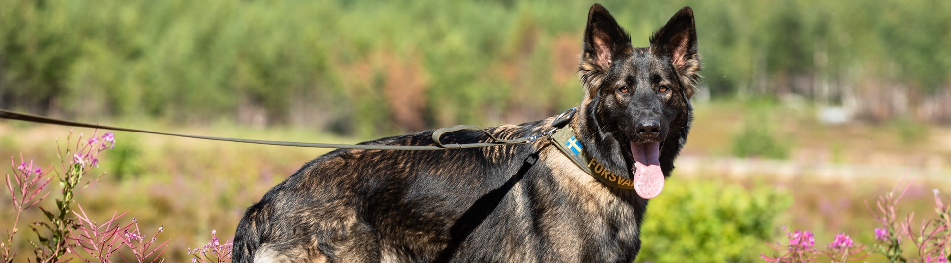 Fotograf Magnus Fröderberg