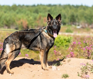 Fotograf Magnus Fröderberg