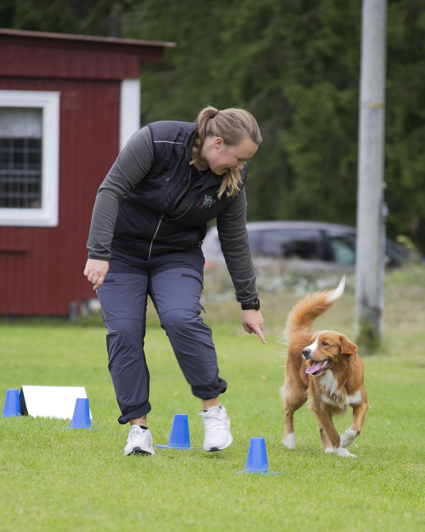 Nedansiljans Brukshundsklubb Rallylydnad