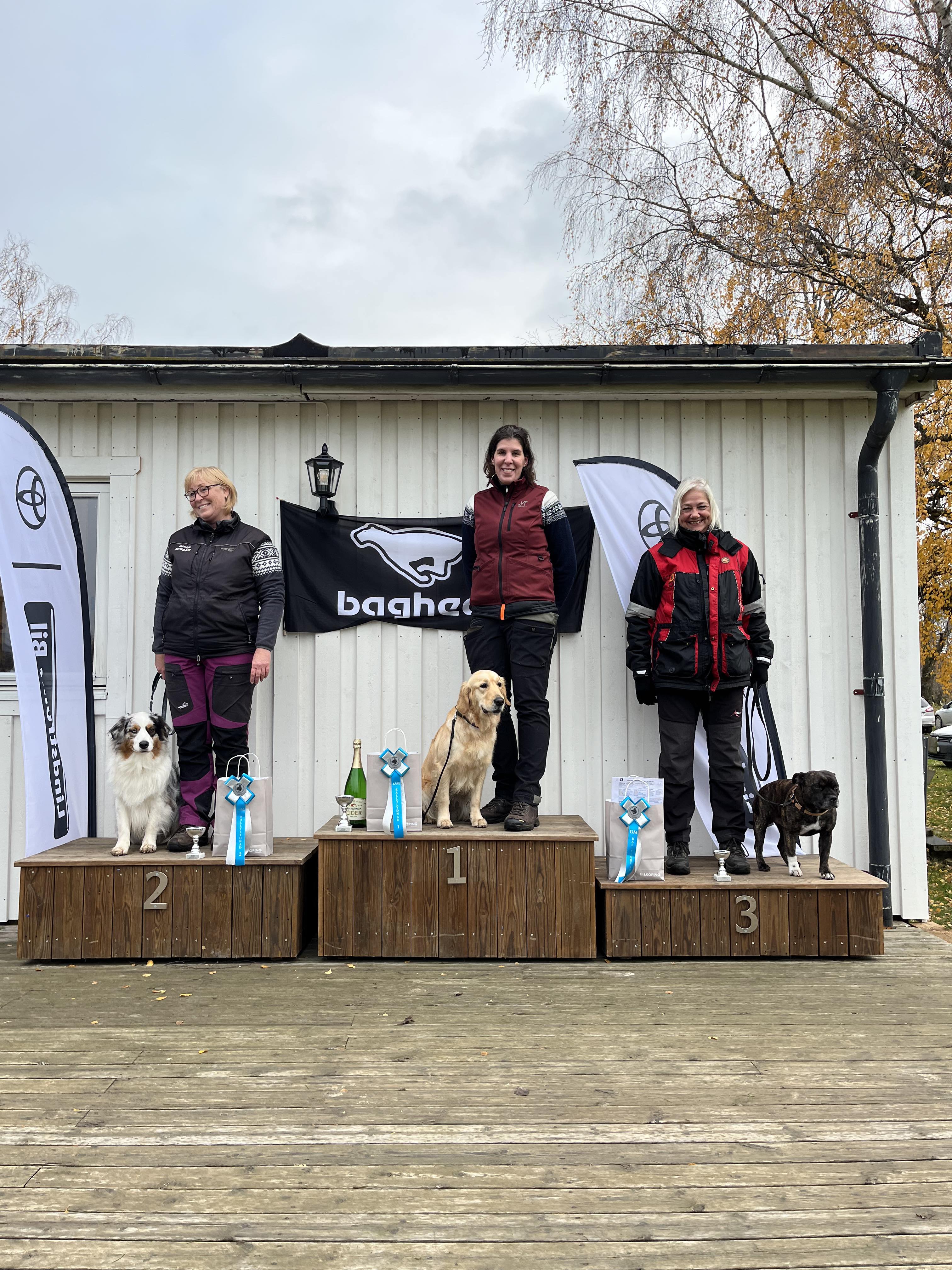 resultat Rallylydnad DM