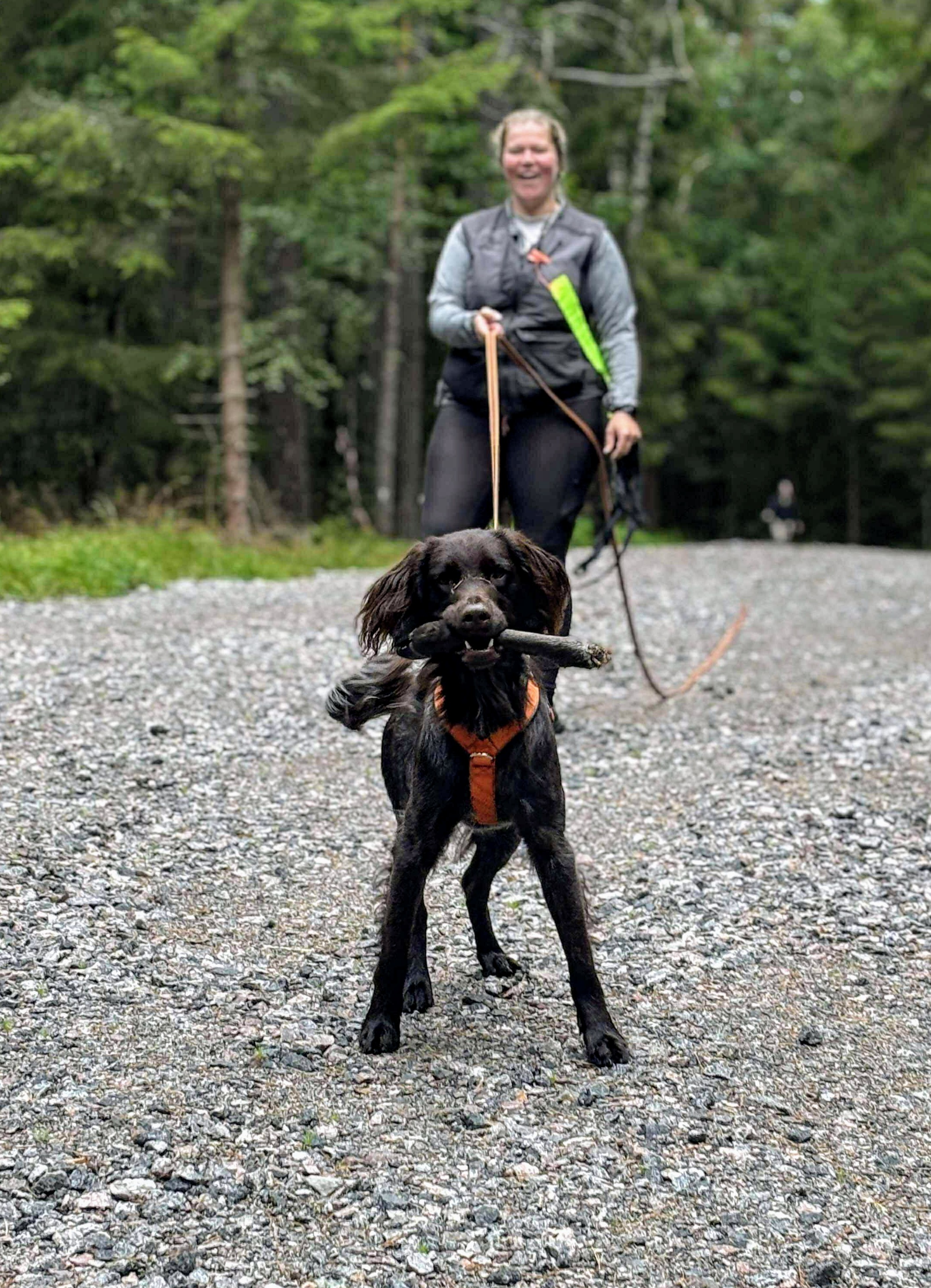 Glatt ekipage som precis hittat klöven i slutet av spåret