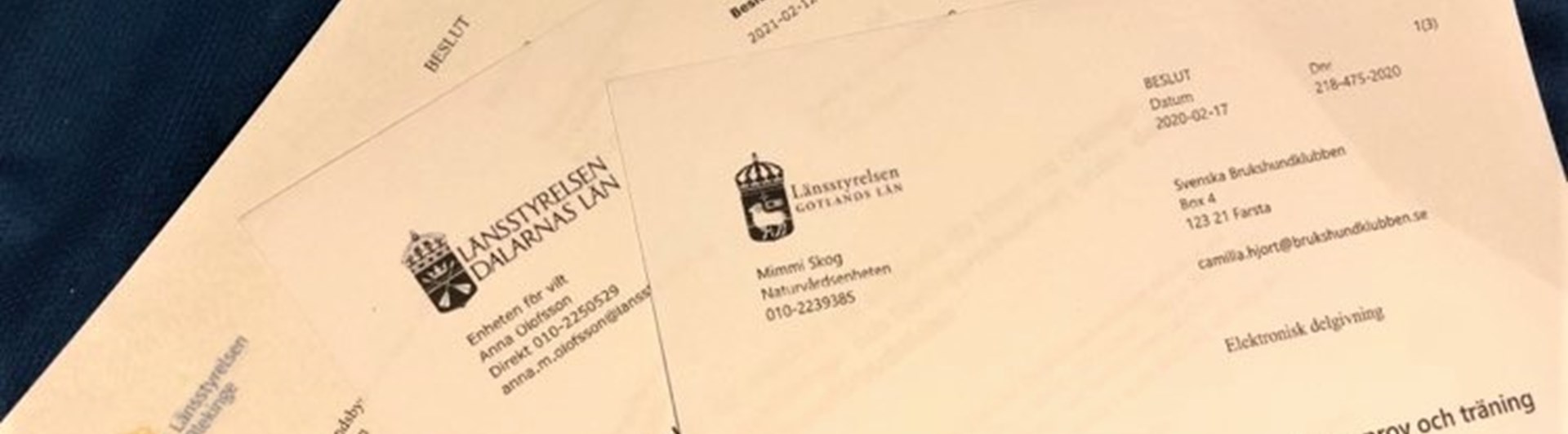 Bild på dispens hundförbudstiden