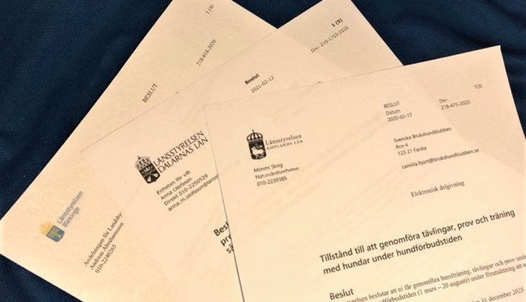 Bild på dispens hundförbudstiden