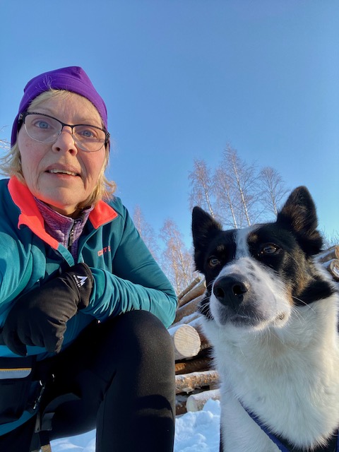 Vinterbild på bordercollie med matte i mössa