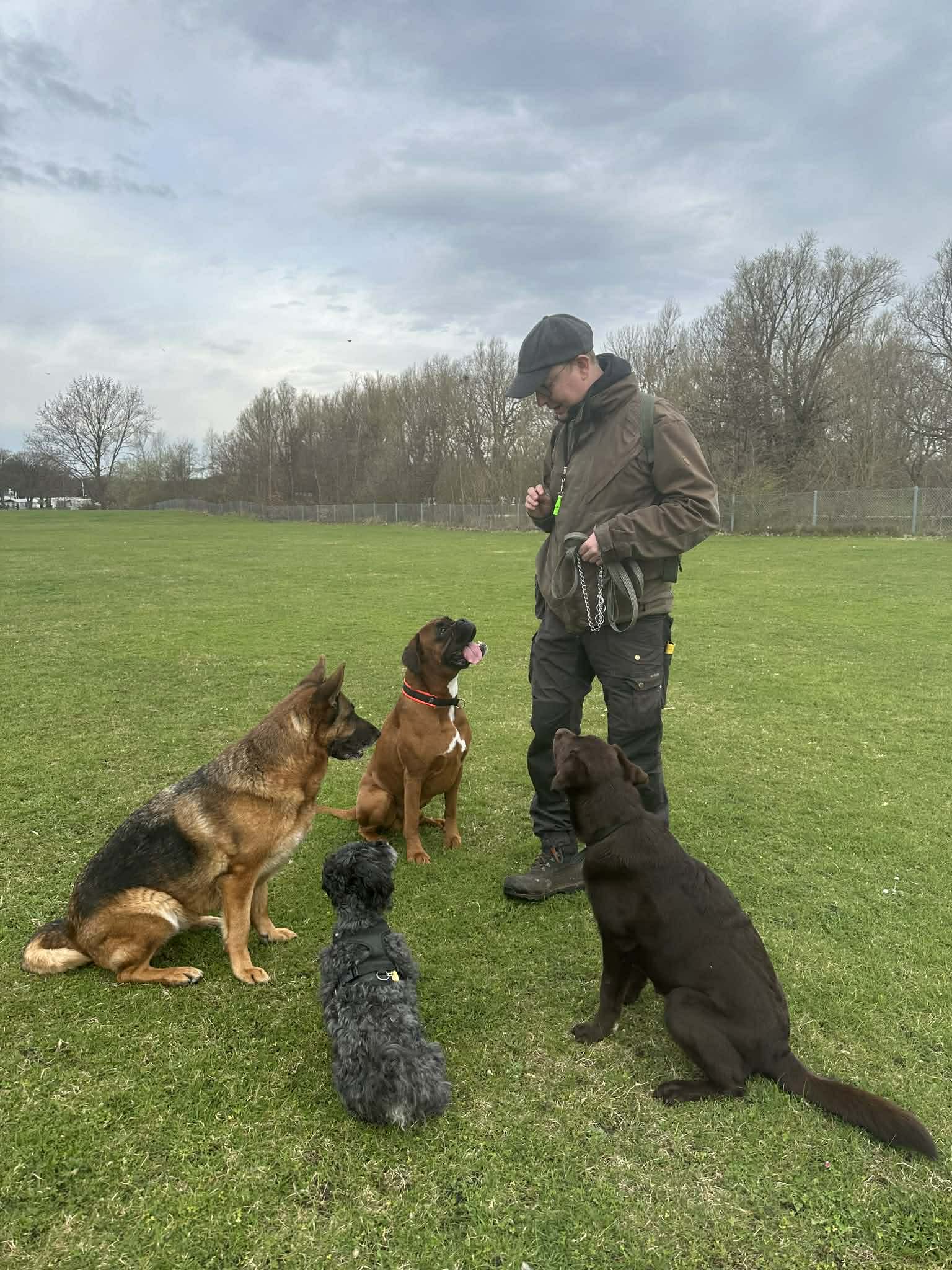 Anders i militärgrön jacka står på gräsmatta med fyra hundar sittande framför sig.