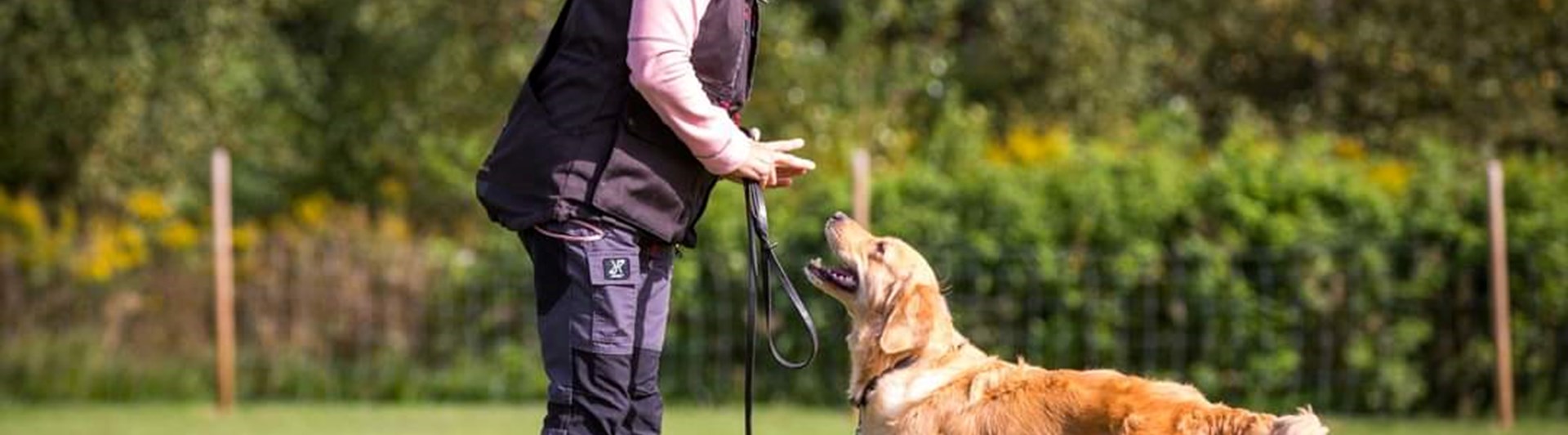 Hund med förare i rallymoment