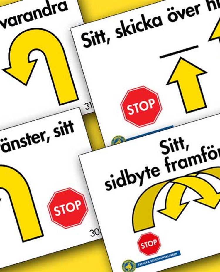 Olika rallylydnadsskyltar