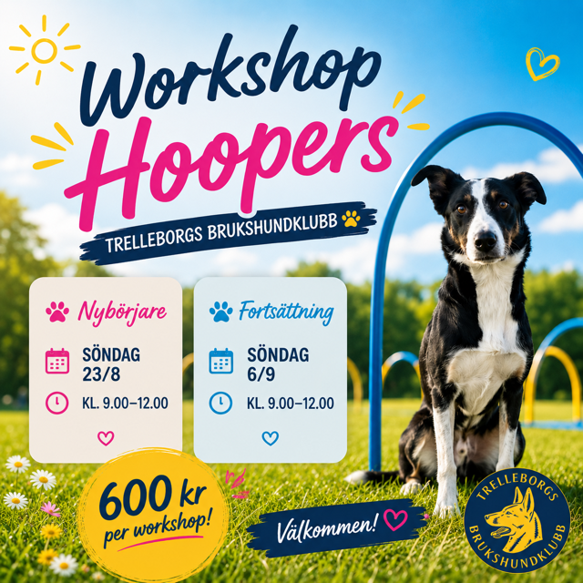 Inbjudan till workshop Hoopers