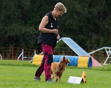 Rallylydnad kontakt.