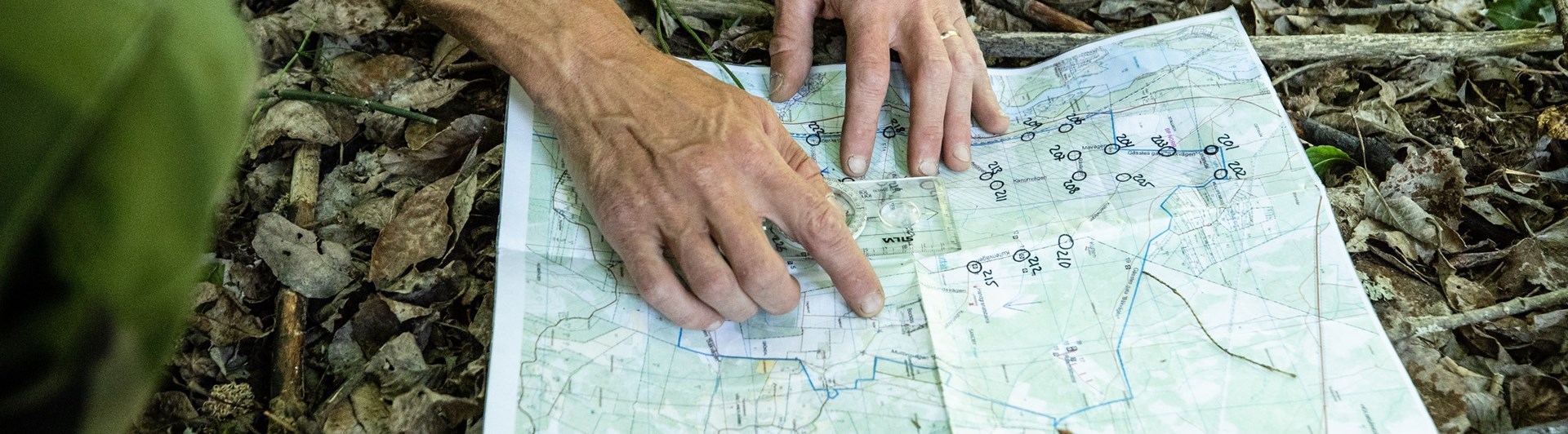 Fotograf: Magnus Fröderberg