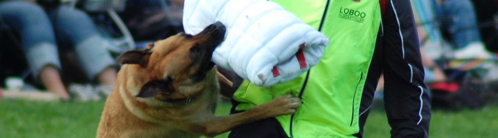 Malle biter i skyddsärm