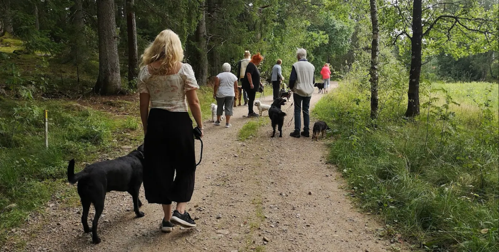 Hundpromenad