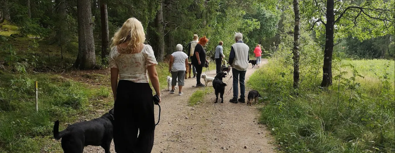 Hundpromenad