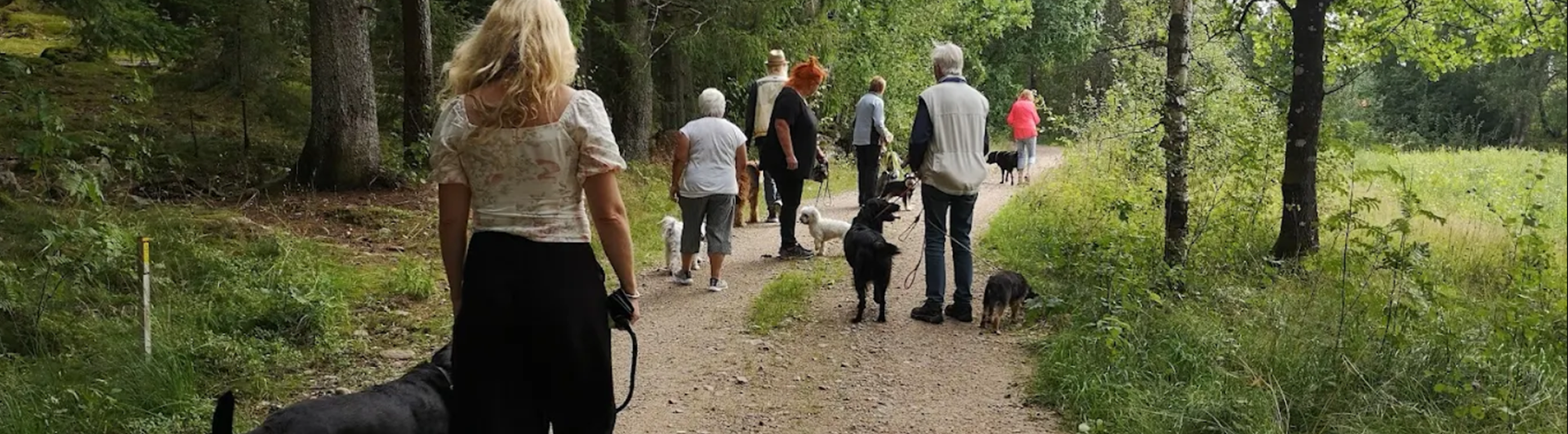 Hundpromenad