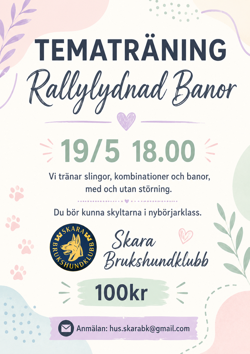 Affisch för tematräning rally banor