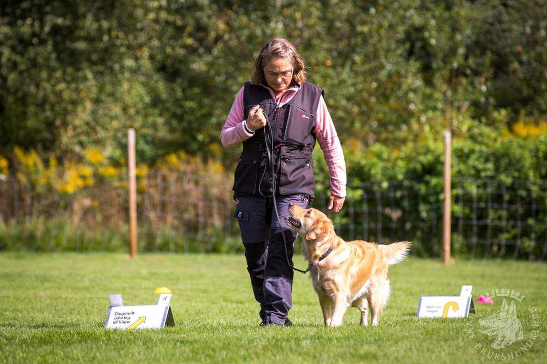 Hund med förare Lena Legnar går en rallylydnadsbana